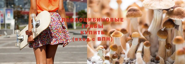 мефедрон мука Заводоуковск