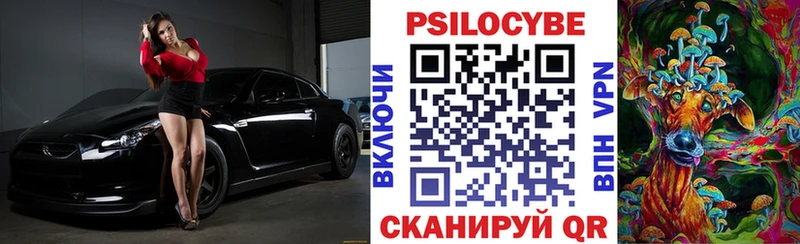 hydra   Керчь  Псилоцибиновые грибы мицелий 