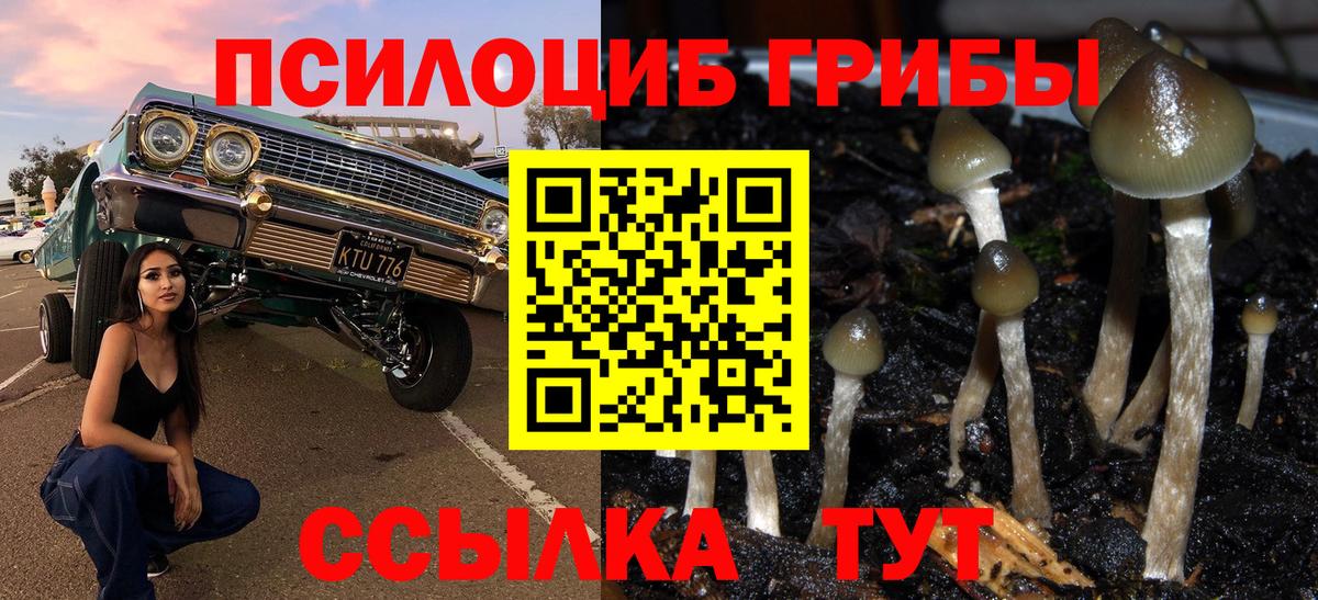 Псилоцибиновые грибы мухоморы  Вход с VPN  Псилоцибиновые грибы Psilocybe  Керчь 